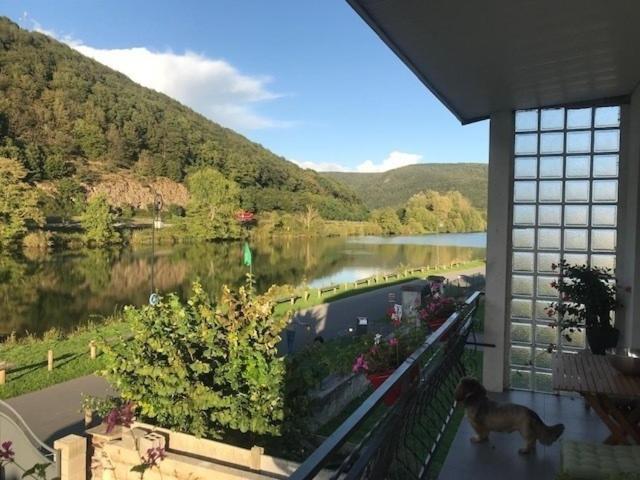 Villa la Rose sur Meuse à Haybes Extérieur photo